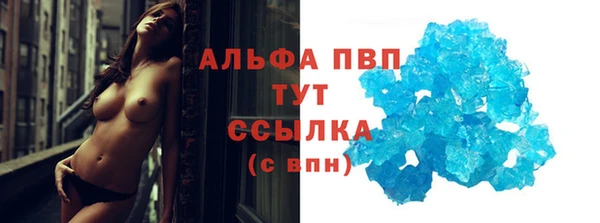 гидра Арсеньев