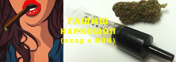 гидра Арсеньев