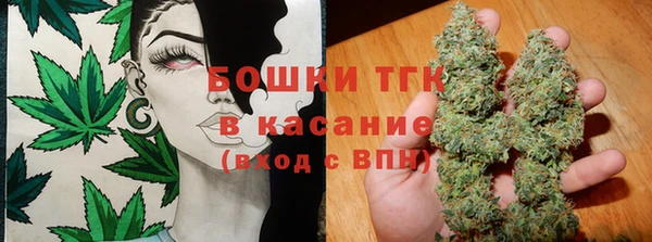 гидра Арсеньев