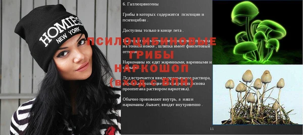 гидра Арсеньев