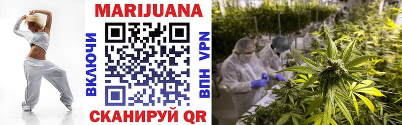 купить закладку  Нововоронеж  мега ТОР  Шишки марихуана тримм 